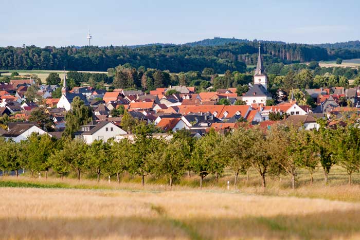 Das Bild zeigt die Gemeinde Wehrheim inmitten von Getreidefeldern